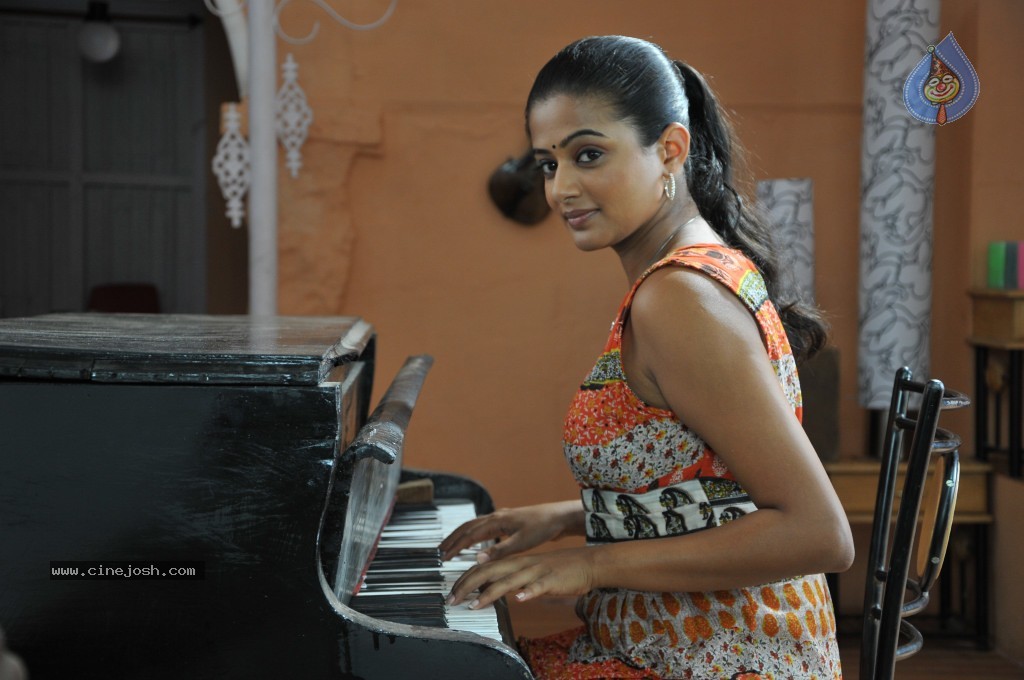 Priyamani New Stills - 36 / 44 photos