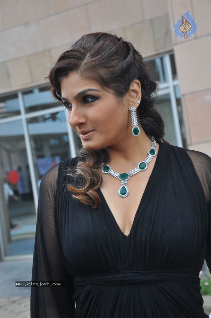 Raveena Tandon Hot Stills - 29 / 63 photos