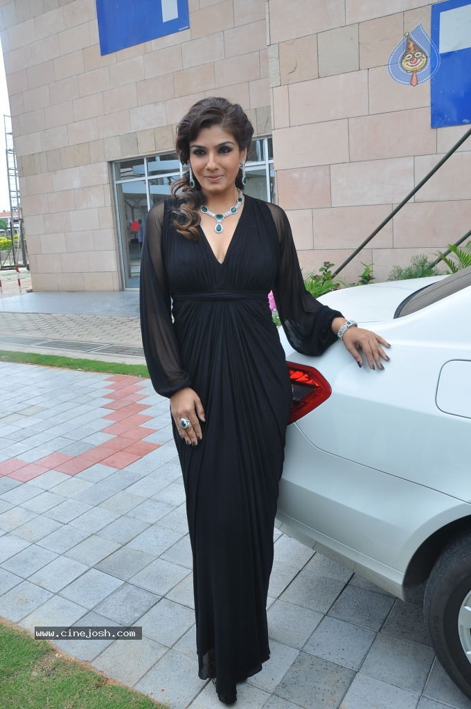 Raveena Tandon Hot Stills - 49 / 63 photos