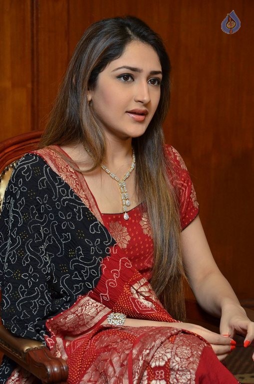 Sayyeshaa New Photos - 3 / 42 photos