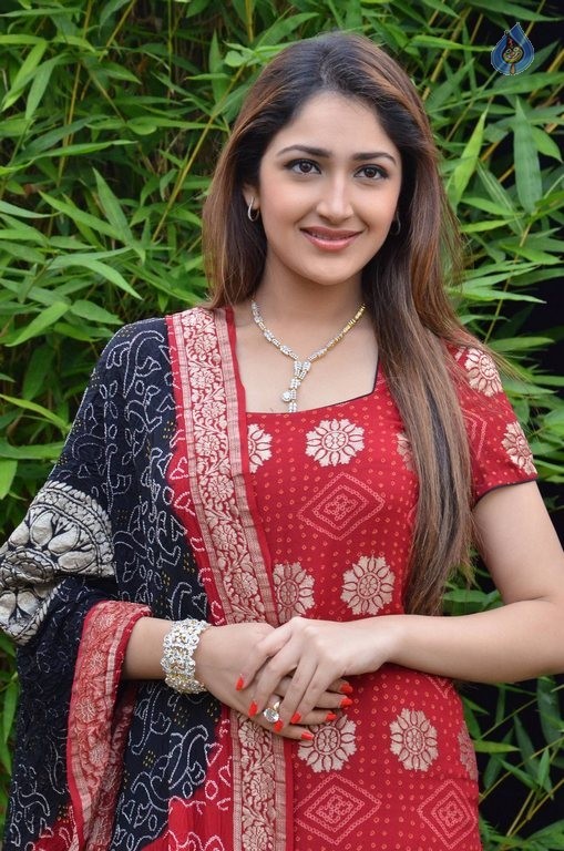 Sayyeshaa New Photos - 7 / 42 photos