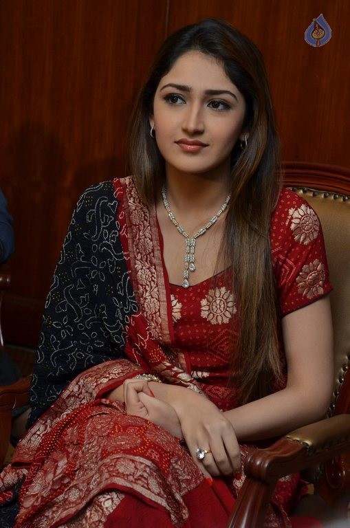 Sayyeshaa New Photos - 19 / 42 photos