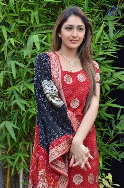 Sayyeshaa New Photos - 25 / 42 photos