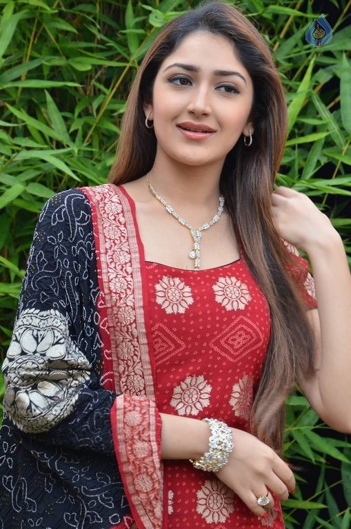 Sayyeshaa New Photos - 27 / 42 photos