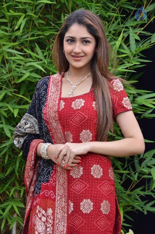 Sayyeshaa New Photos - 30 / 42 photos