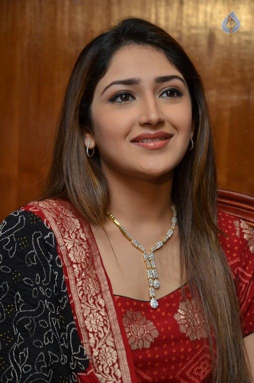 Sayyeshaa New Photos - 36 / 42 photos