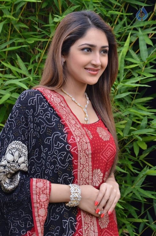 Sayyeshaa New Photos - 39 / 42 photos