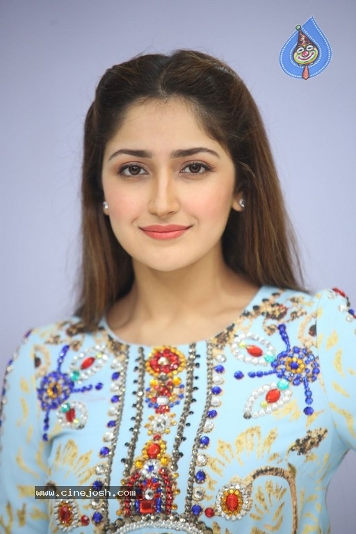 Sayesha Saigal Photos - 7 / 36 photos