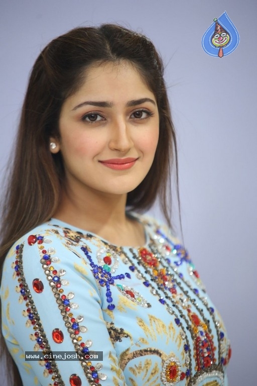 Sayesha Saigal Photos - 10 / 36 photos