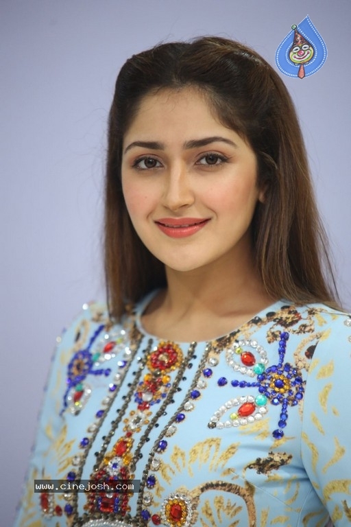 Sayesha Saigal Photos - 12 / 36 photos