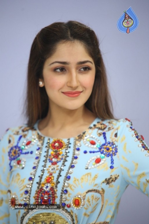 Sayesha Saigal Photos - 15 / 36 photos