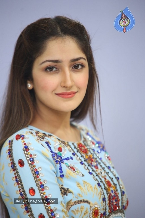 Sayesha Saigal Photos - 17 / 36 photos