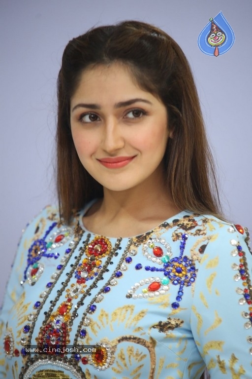 Sayesha Saigal Photos - 21 / 36 photos