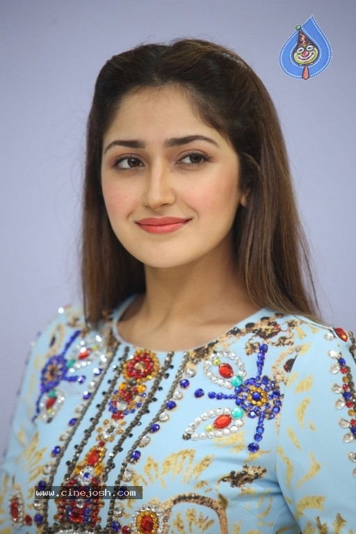 Sayesha Saigal Photos - 22 / 36 photos