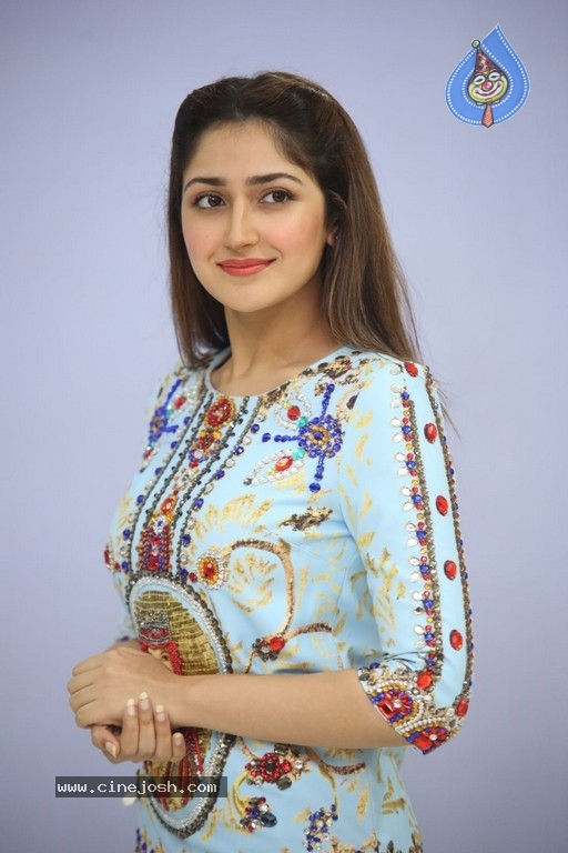 Sayesha Saigal Photos - 29 / 36 photos