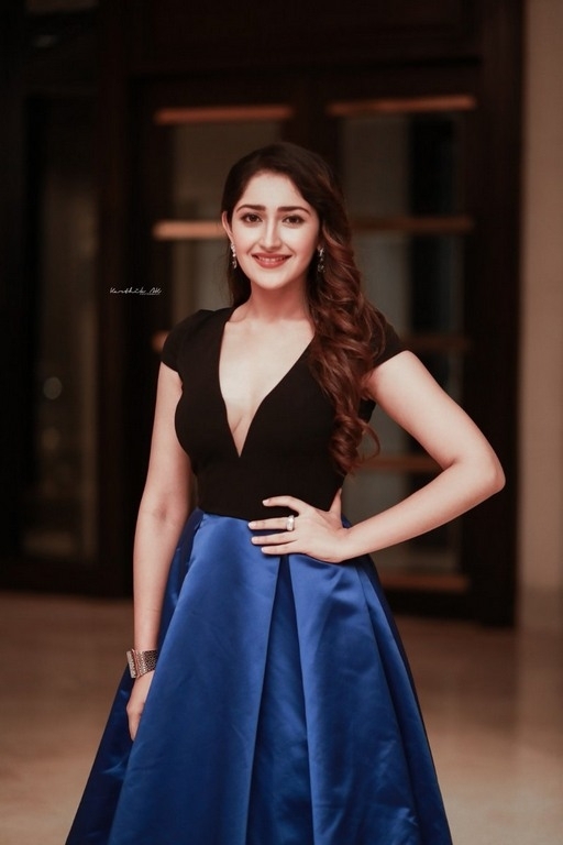 Sayesha Saigal Stills - 2 / 4 photos