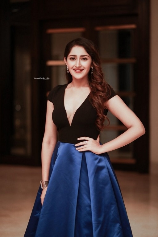 Sayesha Saigal Stills - 4 / 4 photos