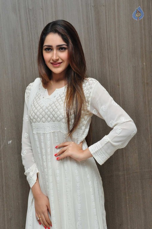 Sayyeshaa Images - 27 / 31 photos