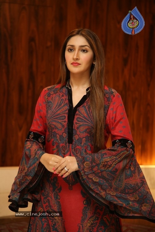 Sayyeshaa Pics - 1 / 19 photos