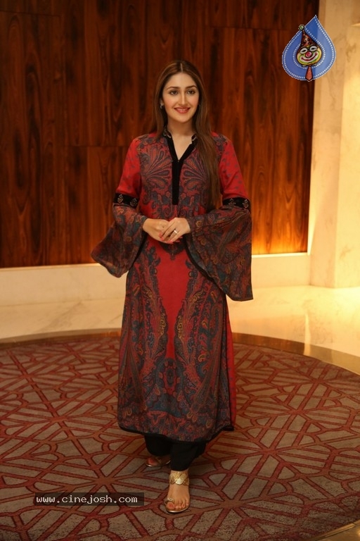 Sayyeshaa Pics - 11 / 19 photos