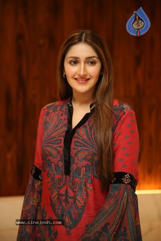 Sayyeshaa Pics - 12 / 19 photos