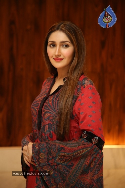 Sayyeshaa Pics - 17 / 19 photos