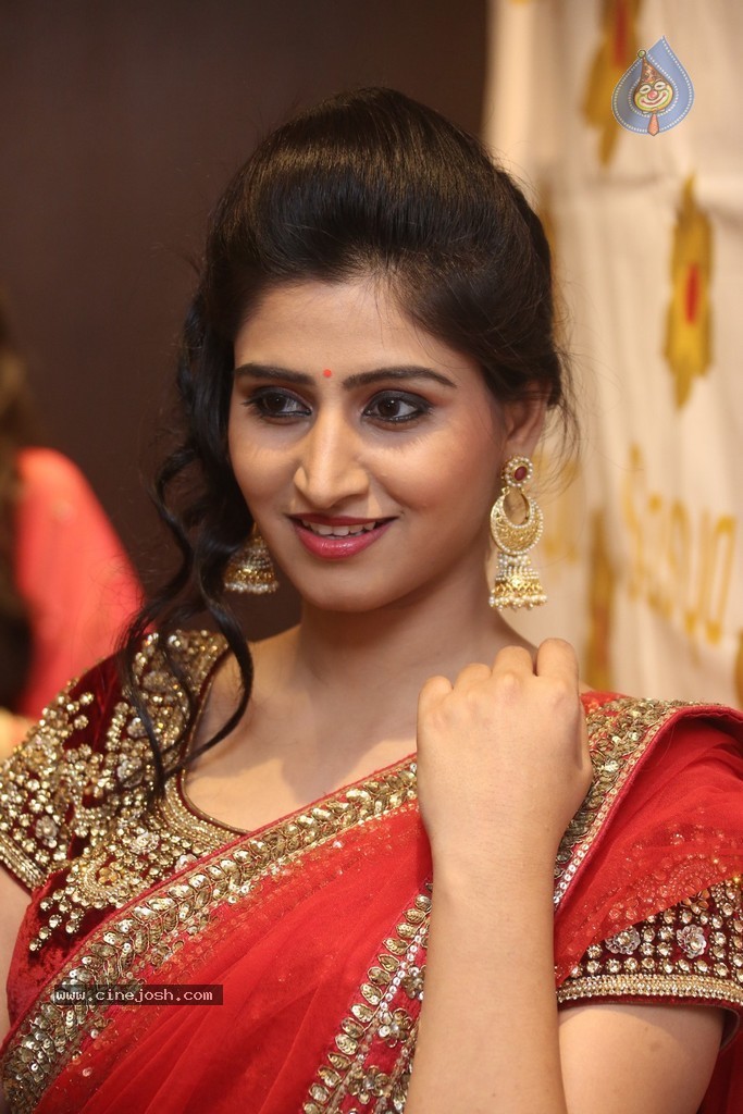 Shamili Gallery - 50 / 131 photos