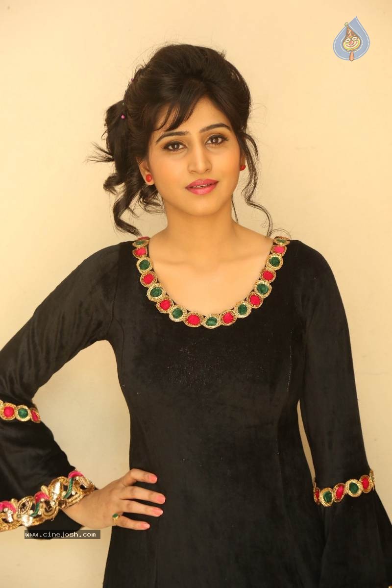 Shamili Photos - 45 / 60 photos