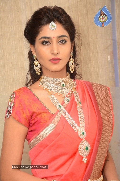 Shamili Sounderajan Images - 21 / 30 photos