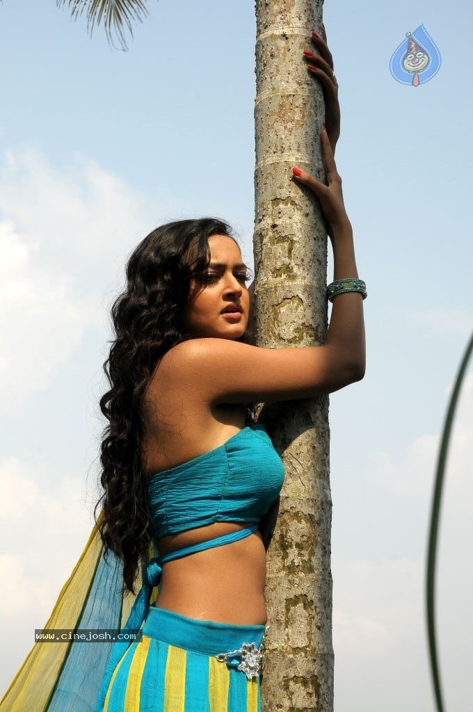 Shanvi Hot Stills - 41 / 63 photos