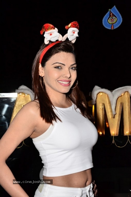 Sherlyn Chopra Images - 4 / 19 photos