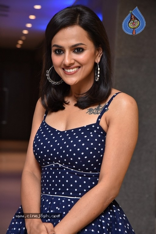 Shraddha Srinath Photos - 14 / 21 photos