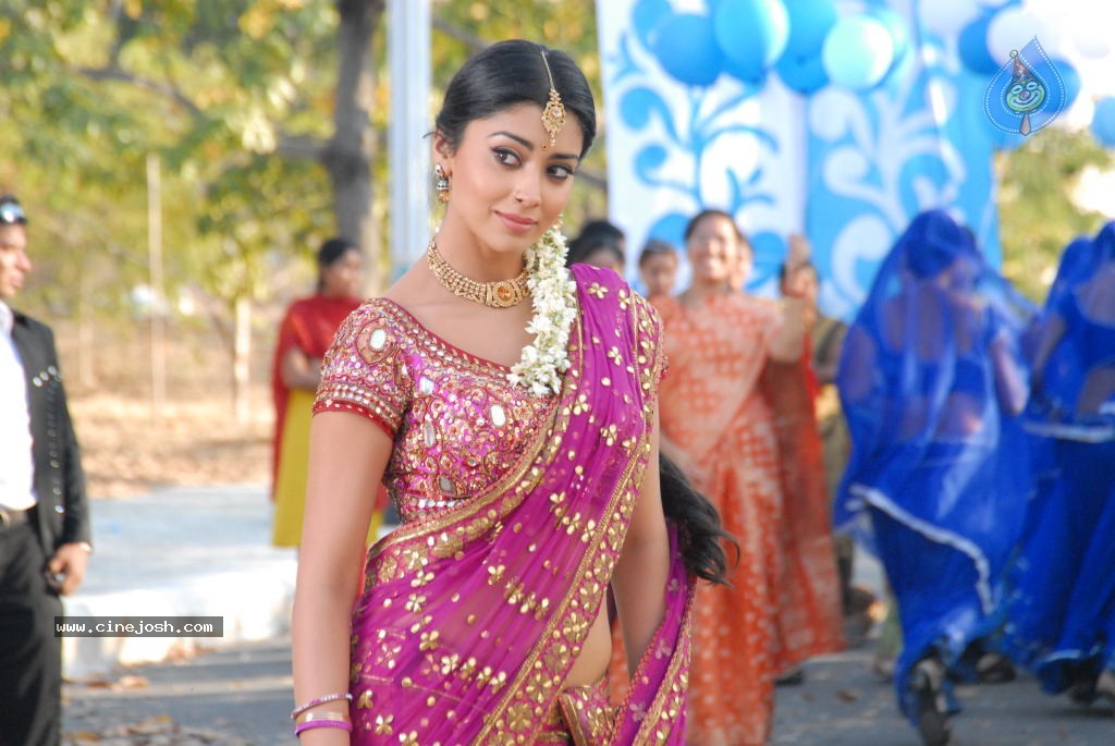 Shriya Hot Gallery - 2 / 75 photos