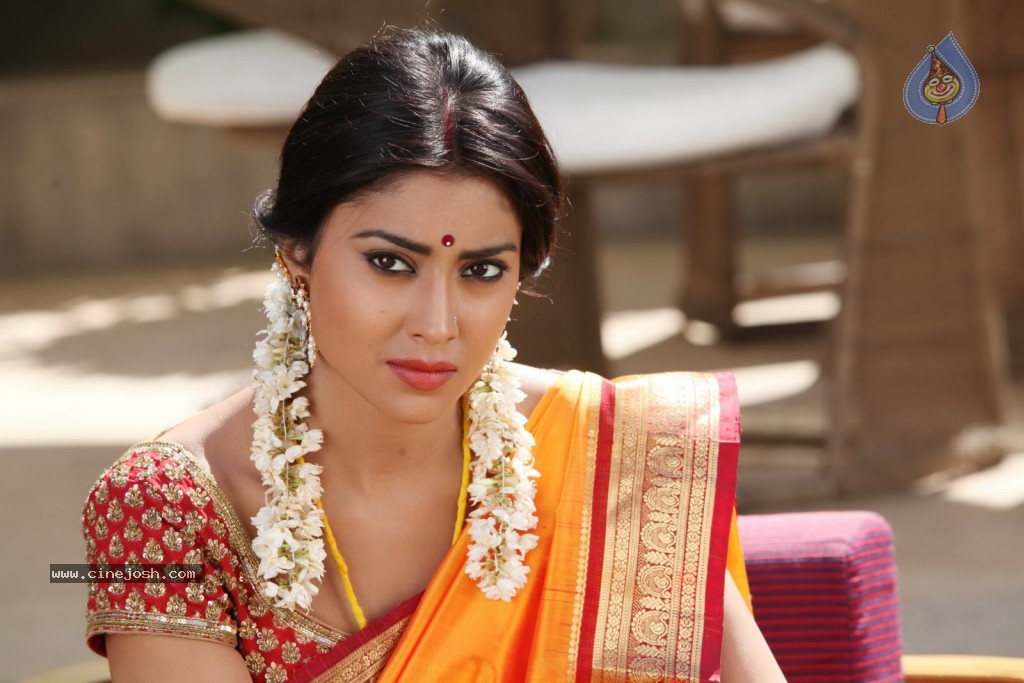 Shriya Hot Gallery - 15 / 23 photos