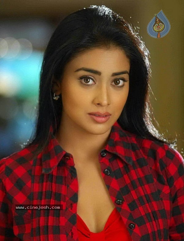 Shriya New Photo Gallery - 8 / 36 photos