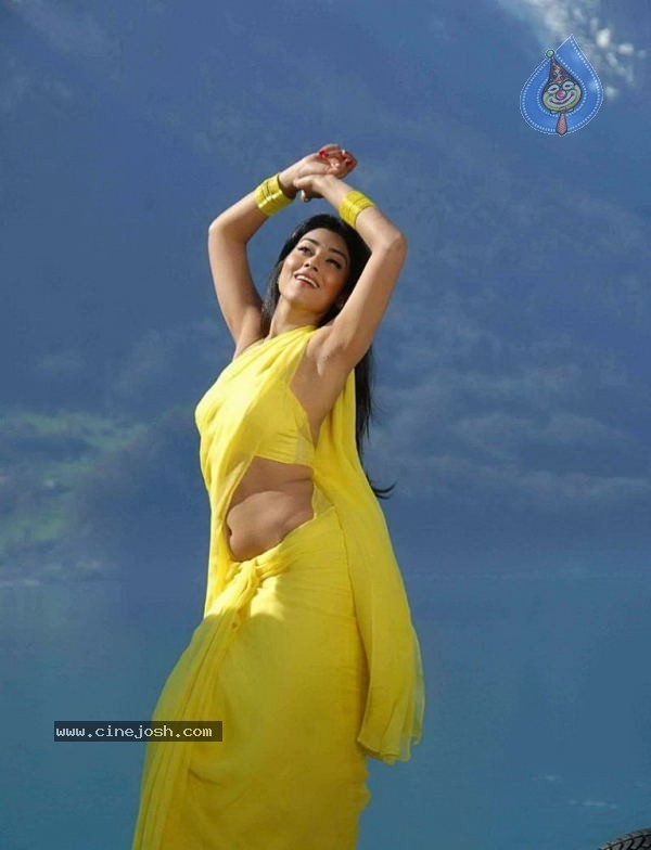 Shriya New Photo Gallery - 9 / 36 photos