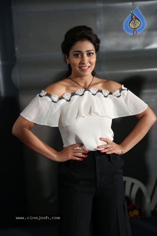 Shriya Saran Pictures - 14 / 15 photos