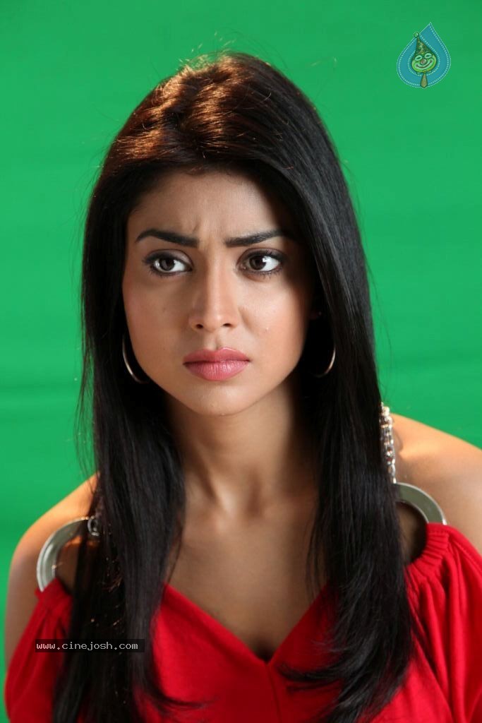 Shriya Latest Stills - 35 / 46 photos