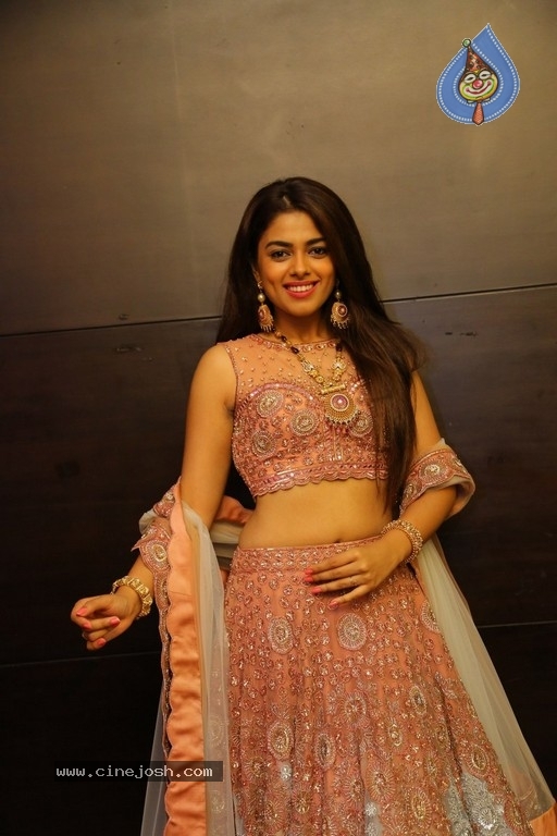 Siddhi Idnani Pictures - 9 / 12 photos