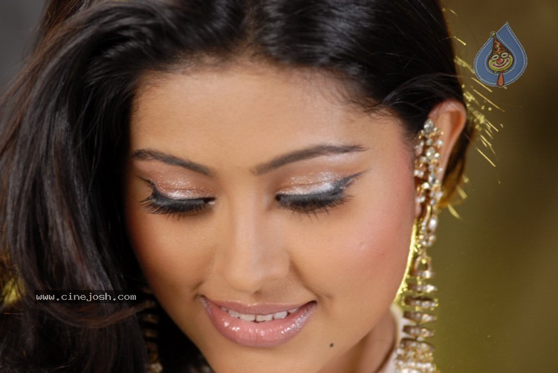 Sneha Latest Stills - 5 / 94 photos