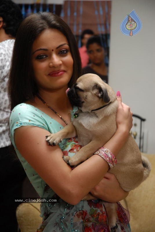 Sneha Ullal New Stills - 34 / 82 photos