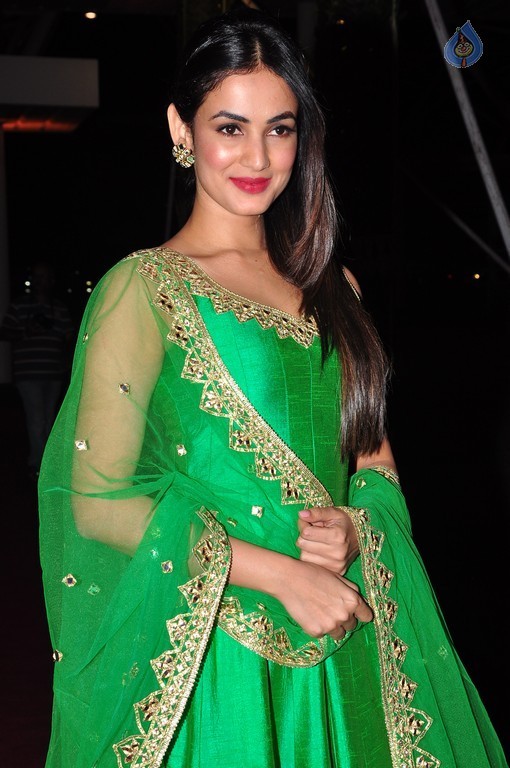 Sonal Chauhan Images - 4 / 16 photos