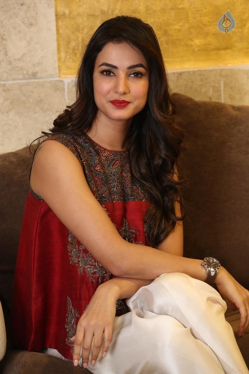 Sonal Chauhan Photos - 1 / 32 photos