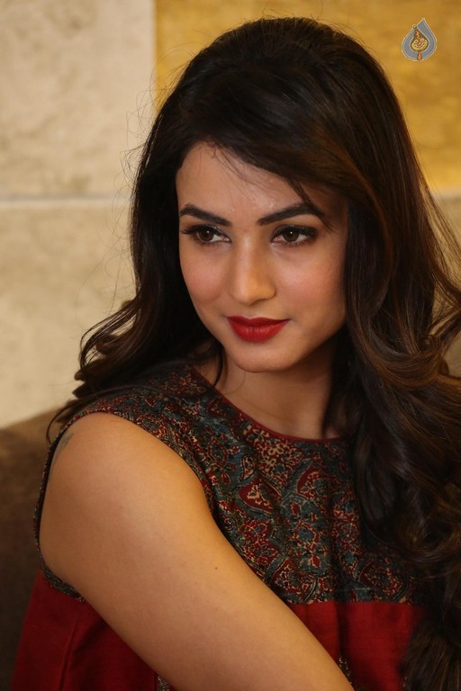 Sonal Chauhan Photos - 26 / 32 photos