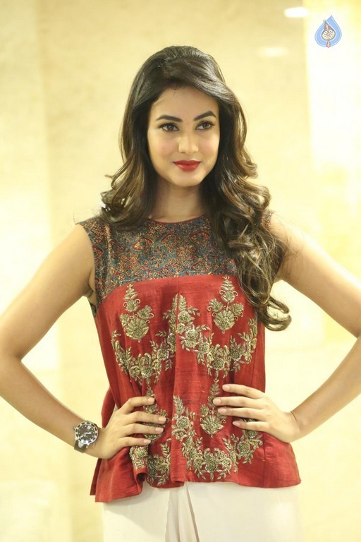 Sonal Chauhan Photos - 28 / 32 photos