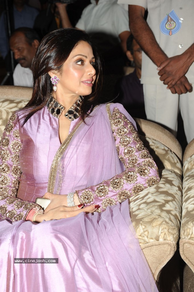 Sridevi Latest Stills - 39 / 102 photos