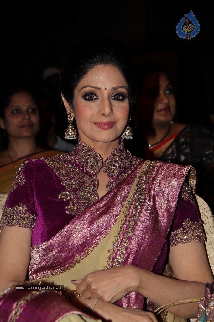 Sridevi Latest Stills - 24 / 71 photos