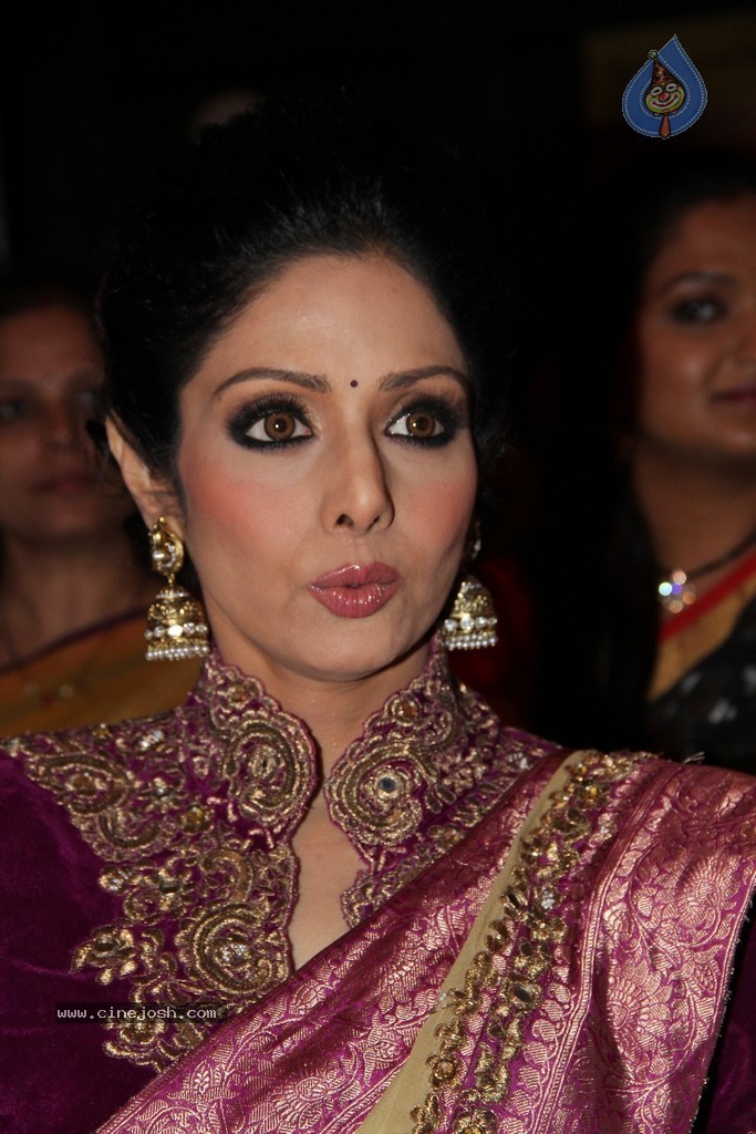 Sridevi Latest Stills - 28 / 71 photos