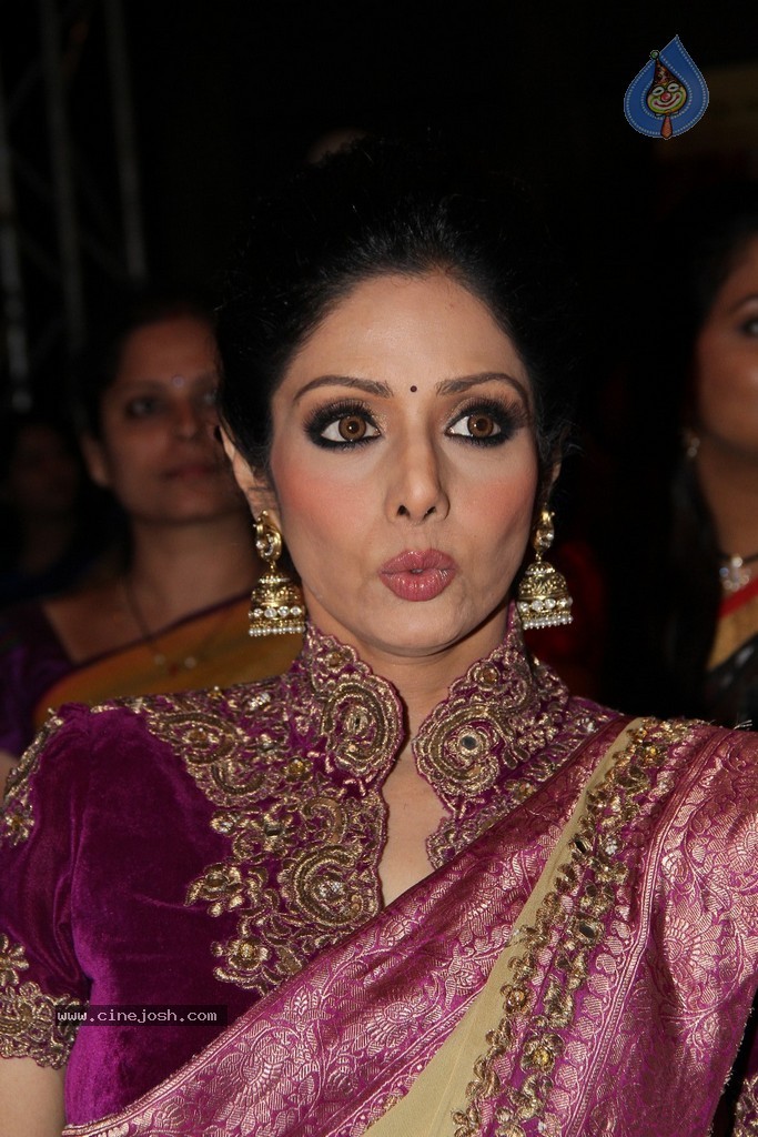 Sridevi Latest Stills - 31 / 71 photos