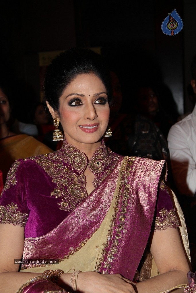 Sridevi Latest Stills - 32 / 71 photos